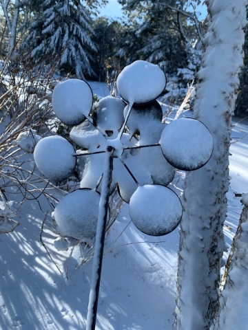 AD172D9F-191B-466B-A7D4-517C8A8F6CAB