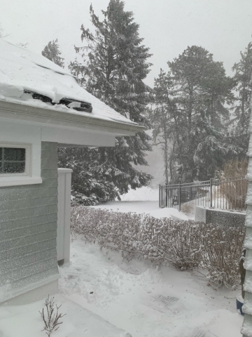 E0DD1B5E-A3EA-4D0C-812C-5DFCDFDC339D_1_105_c