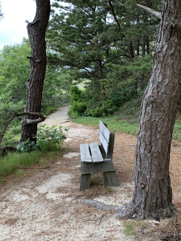 Wellfleet Audubon Trail